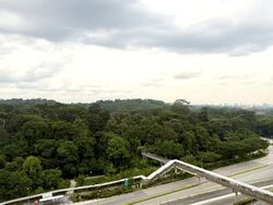 Bukit Timah Shopping Centre (D21), Office #533362301